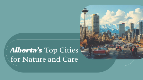 3 Alberta Cities Redefining Quality of Life